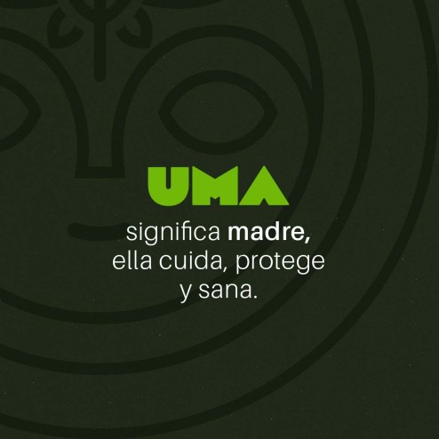 Ungüento de Coca y Marihuana | Coca Nasa